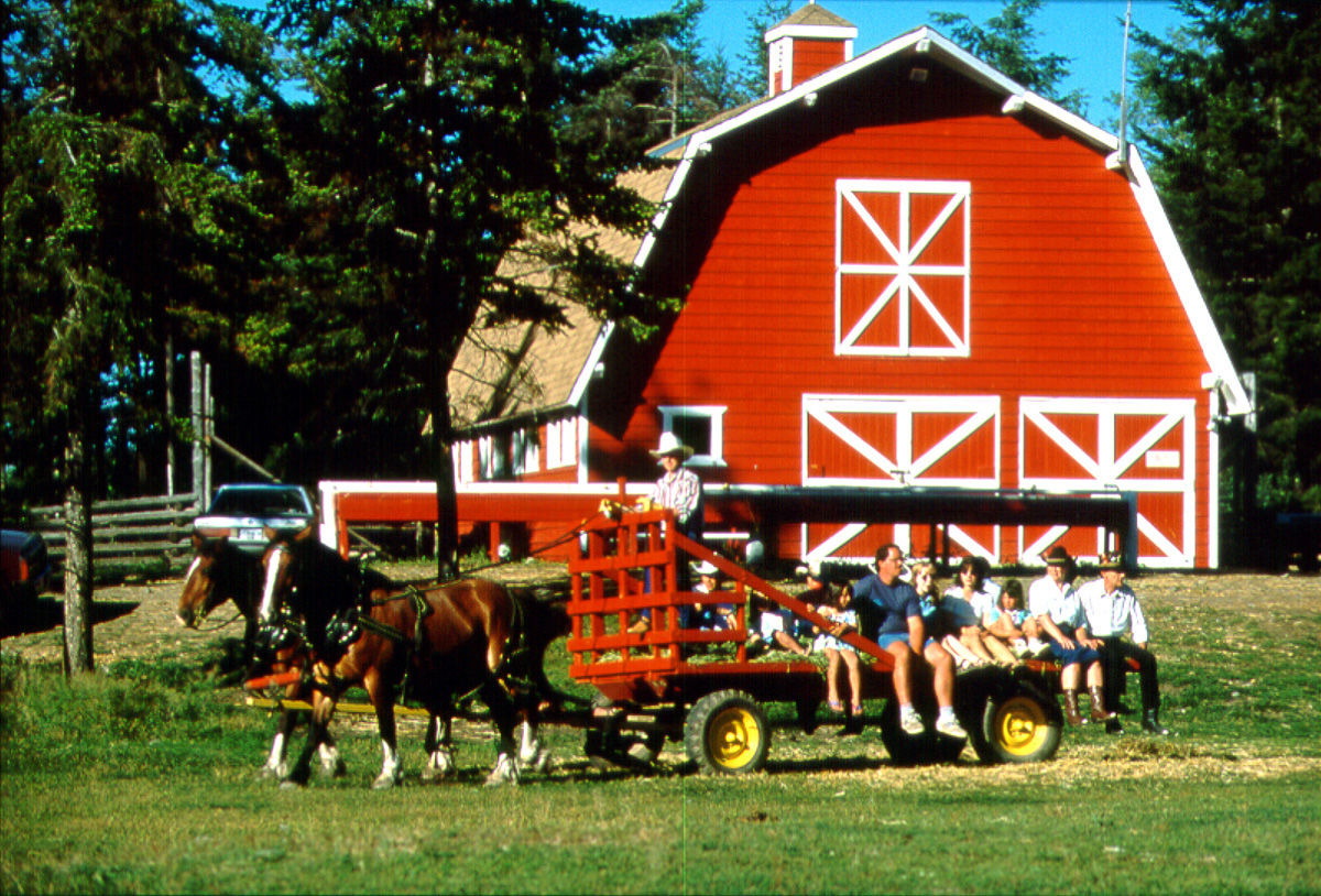 108 Mile Ranch Spruce Hill Resort & Spa מראה חיצוני תמונה